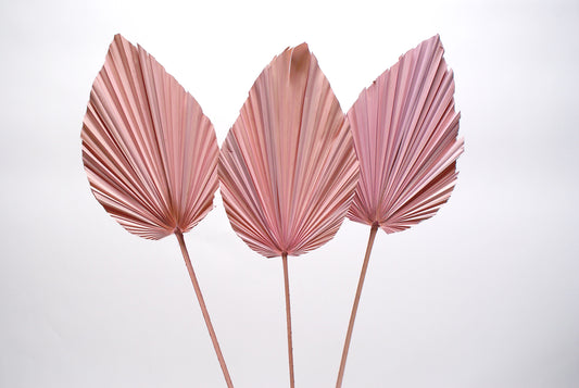 LAST CHANCE - Medium Pink Palm Spear