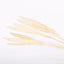 White Mini Pampas Grass