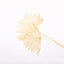Bleached Sun Palms