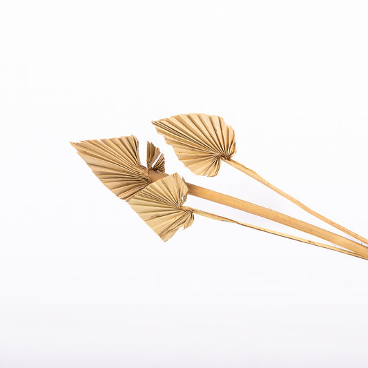 Mini Natural Palm Spears