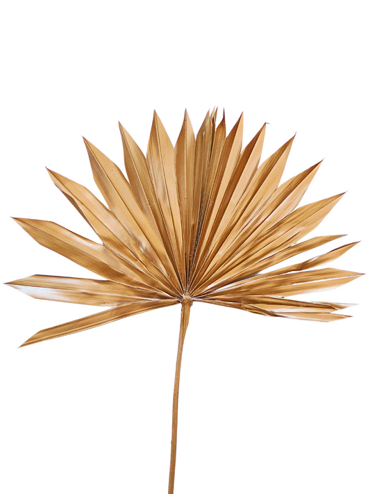 Gold Sun Palms