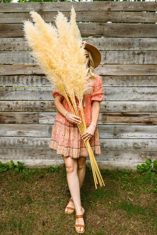 Cream Large Pampas Grass